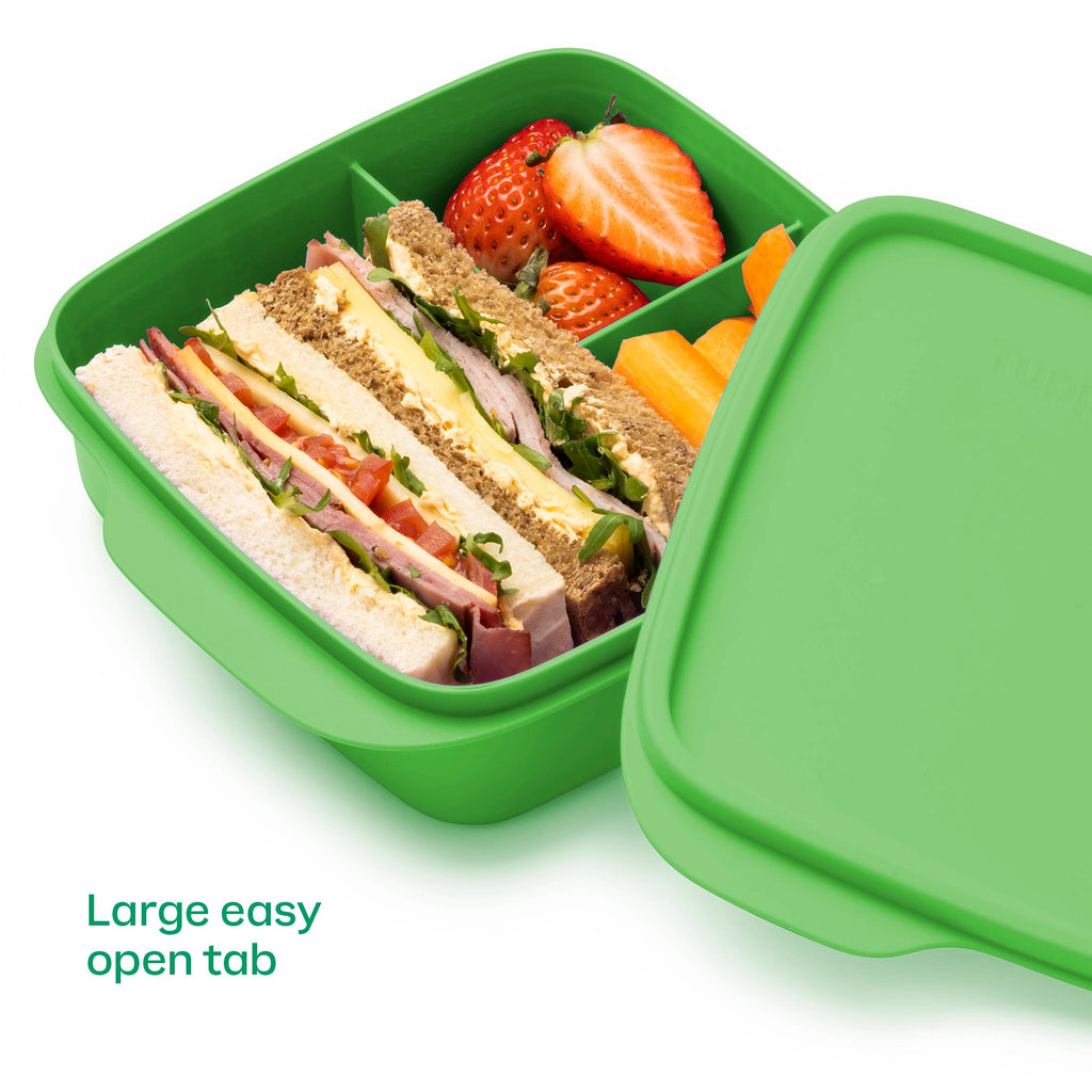Eco+ Lunch-It® Container