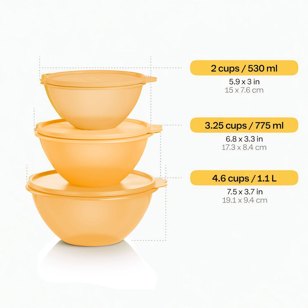 Classic Wonderlier® | 3-piece Set
