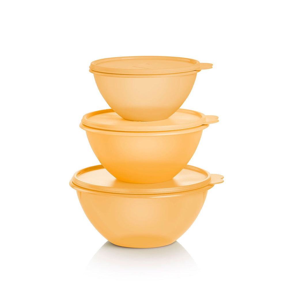 Classic Wonderlier® | 3-piece Set