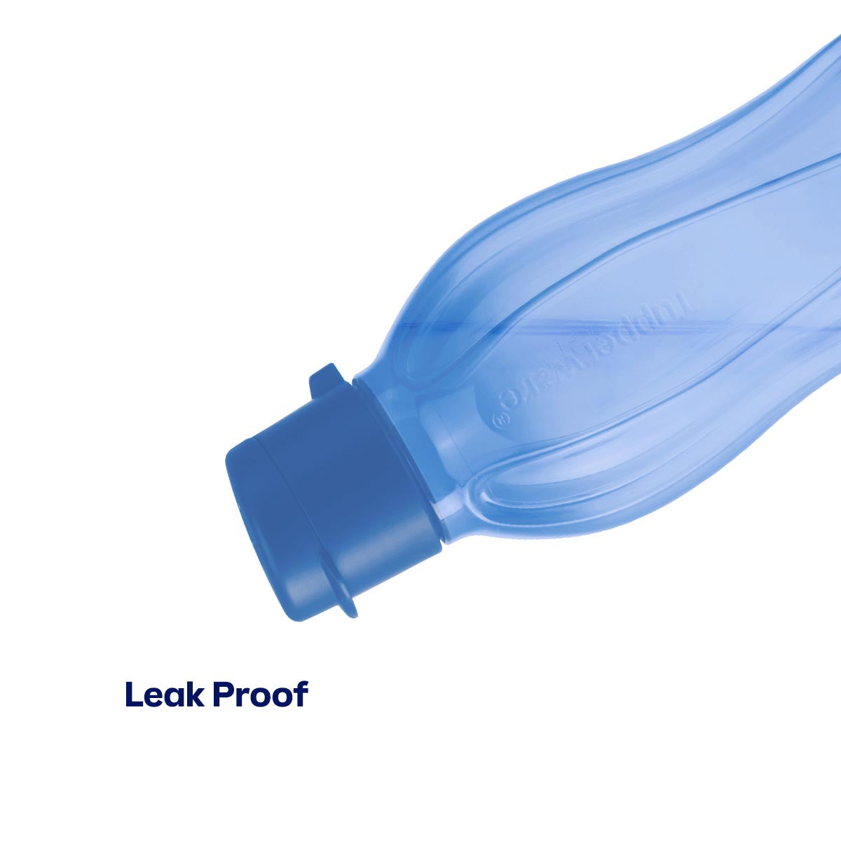 Eco+ Bottle | Small | 16 oz. / 500 mL