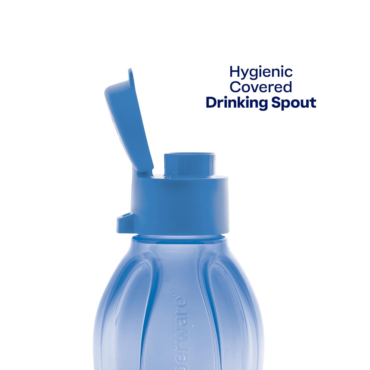 Eco+ Bottle | Small | 16 oz. / 500 mL