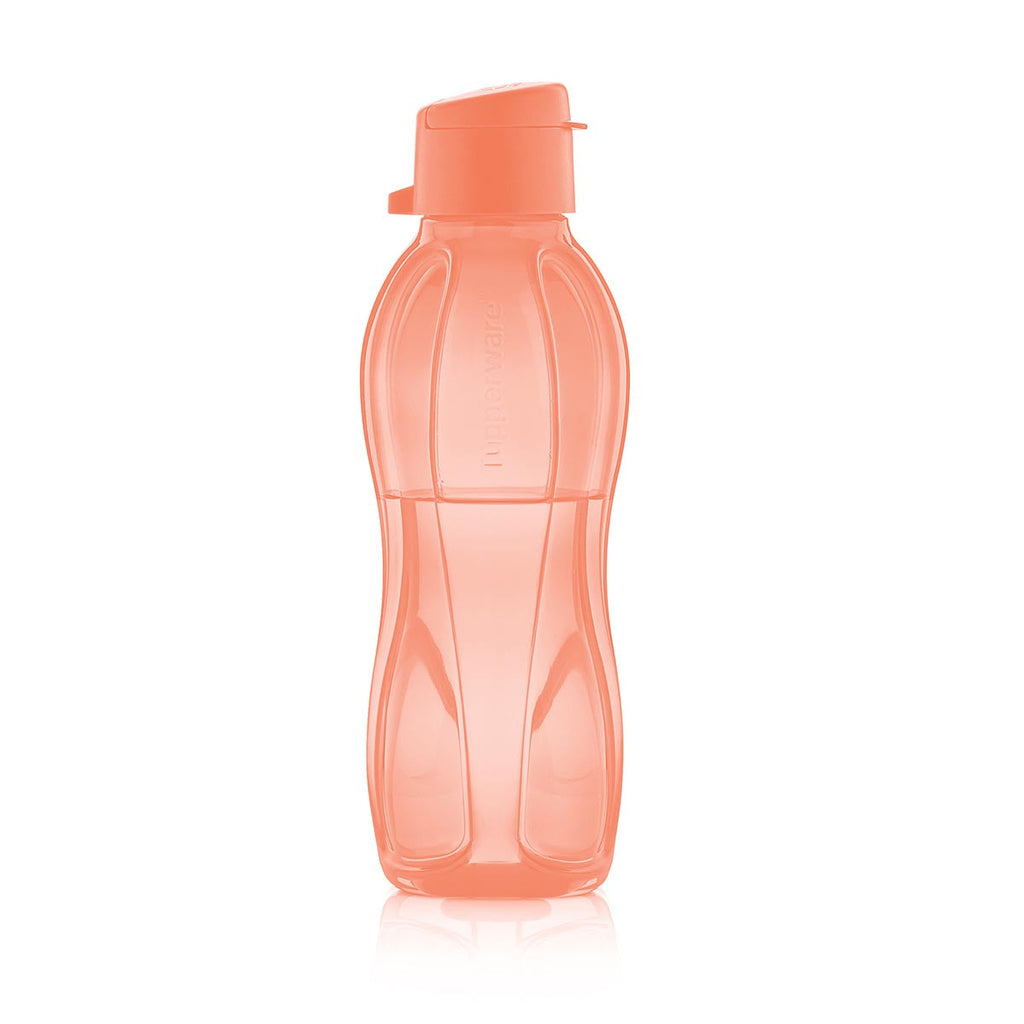 Eco+ Bottle | Small | 16 oz. / 500 mL
