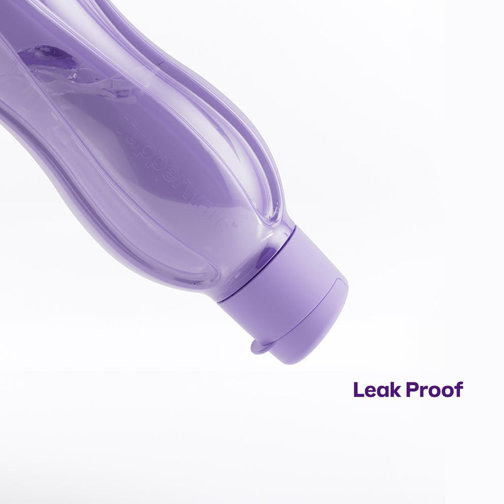 Eco+ Bottle | Medium | 25 oz. / 750 mL