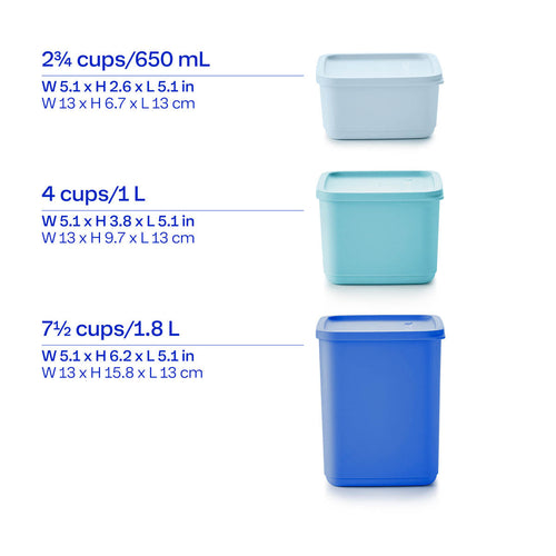 Basic Bright |6-Piece Set | Square