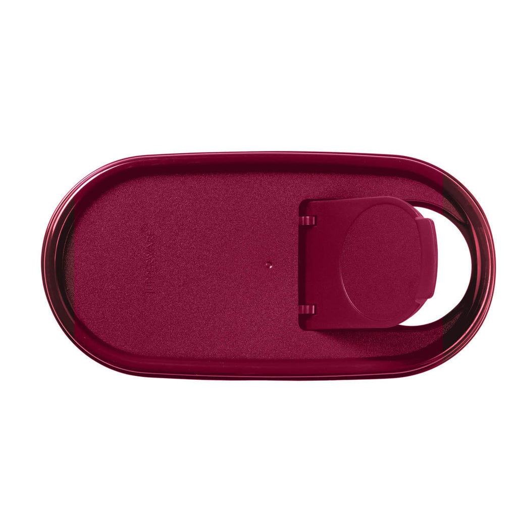 Tupperware® Modular Mates® Oval | Pour-All Seal | Food Storage
