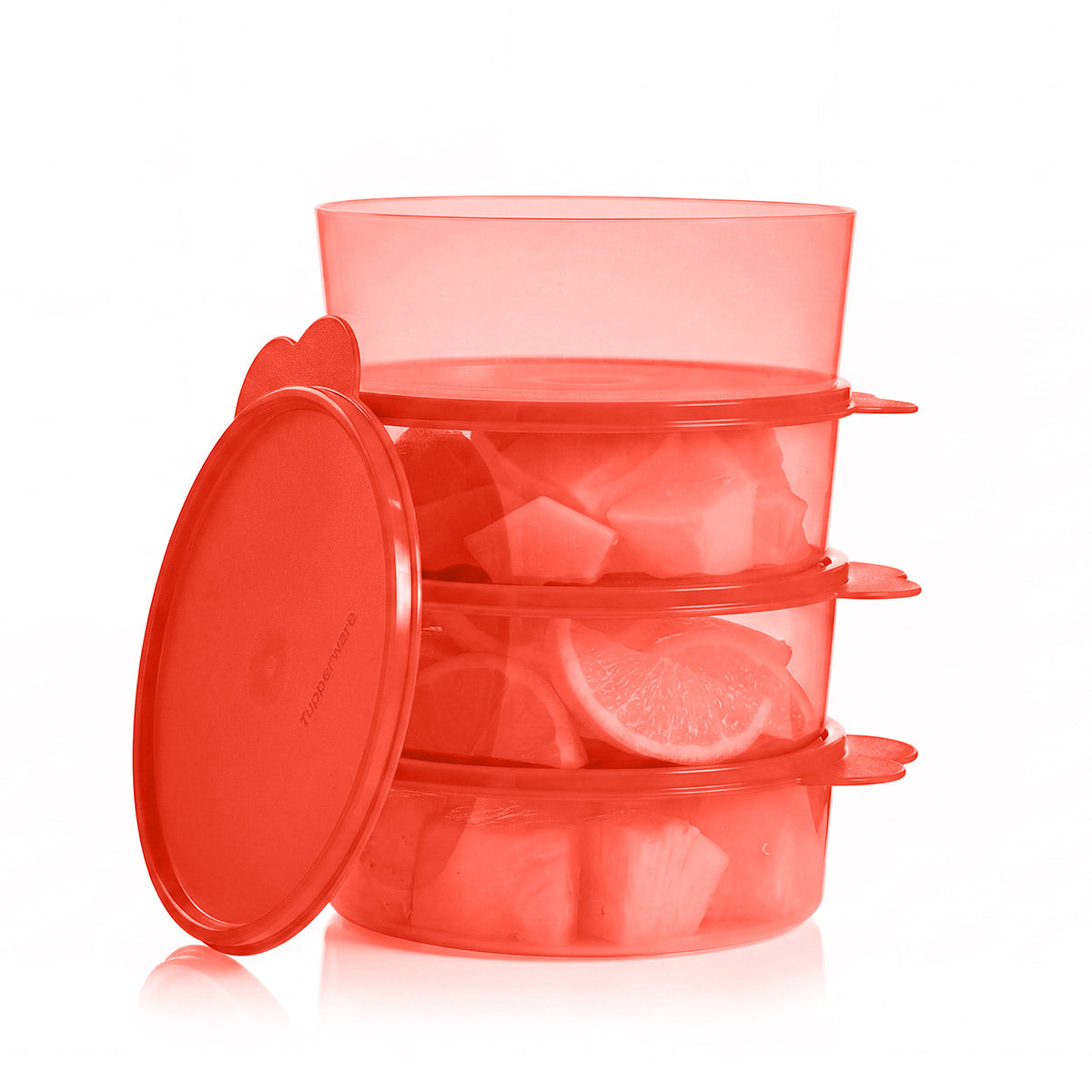 Big Wonders® Bowls | Large