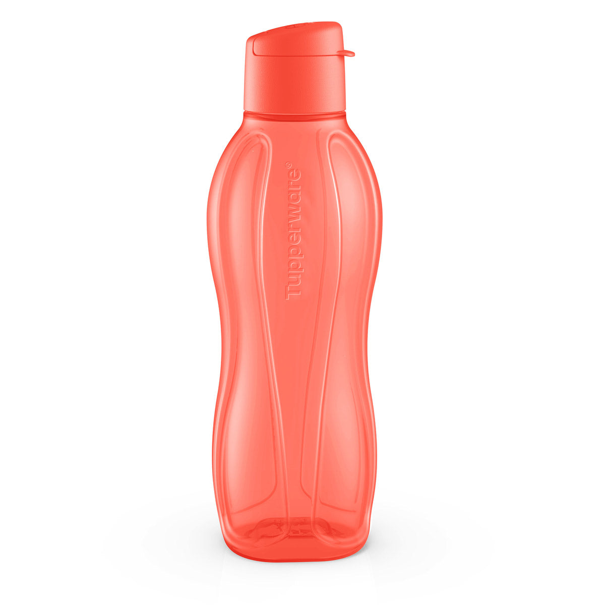 Eco+ Bottle | Medium | 25 oz. / 750 mL