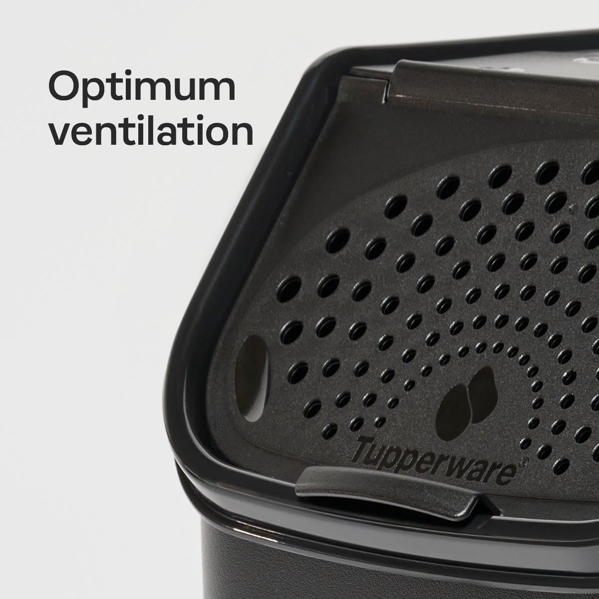 Tupperware® Potato Smart™ Container | Produce Bin | 8.75 qt (8.3 L)
