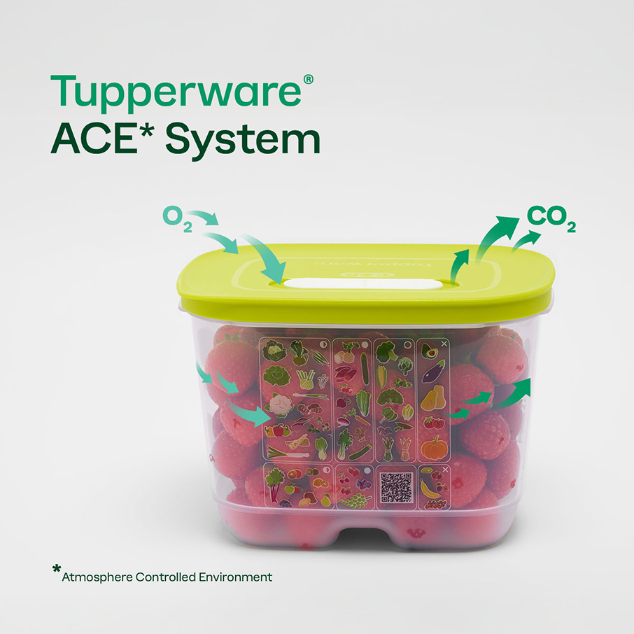 Tupperware® FridgeSmart® Vertical | Produce Storage Container With Lid
