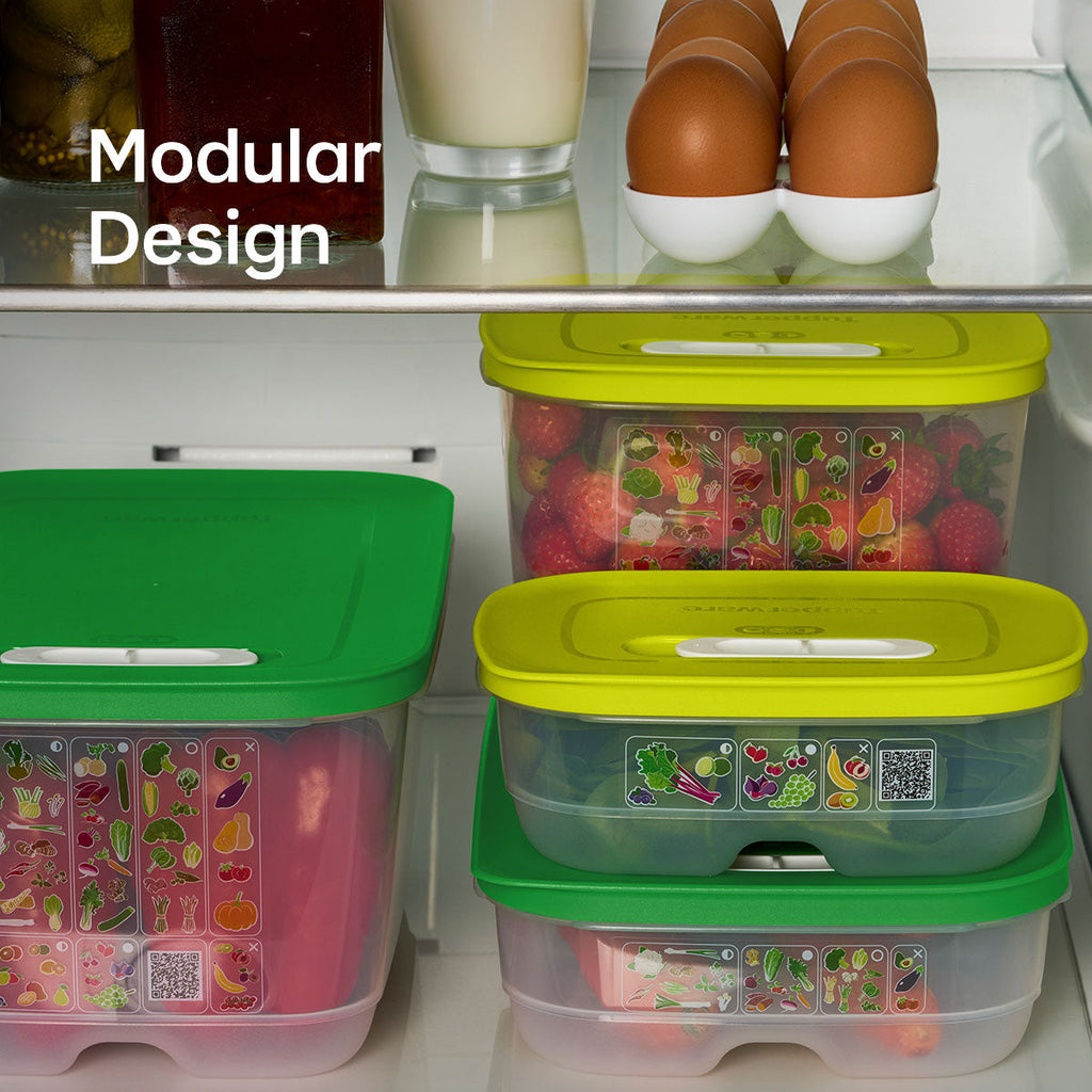 Tupperware® FridgeSmart® 4-Piece Starter Set | Food Storage Containers