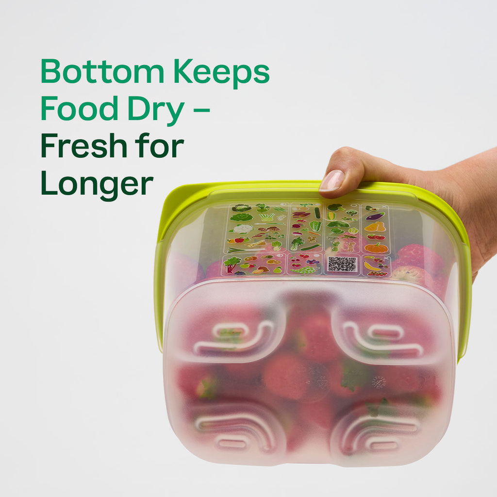 Tupperware® FridgeSmart® 4-Piece Starter Set | Food Storage Containers