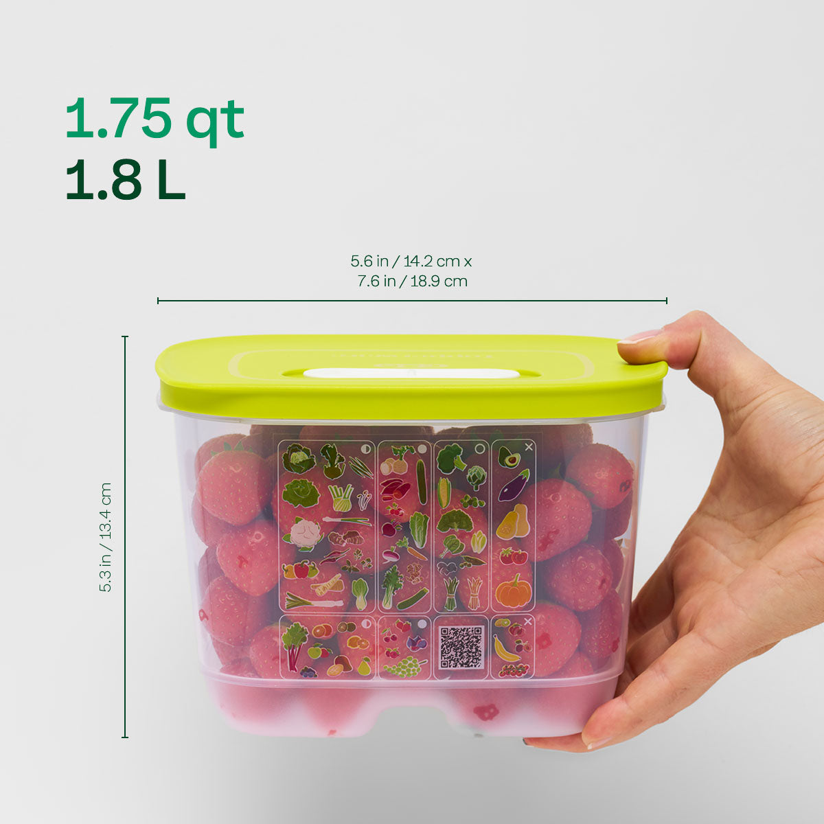 Tupperware® FridgeSmart® 4-Piece Starter Set | Food Storage Containers