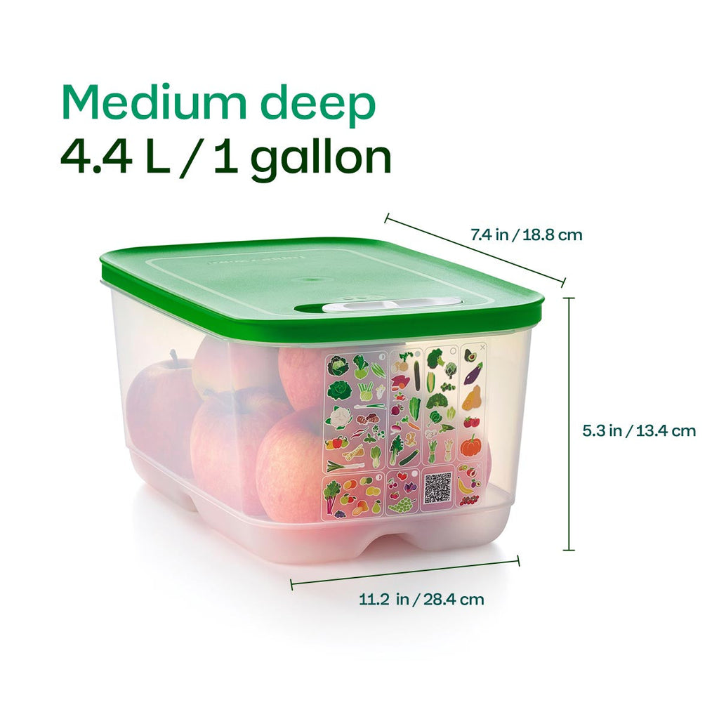 Tupperware® FridgeSmart® 4-Piece Starter Set | Food Storage Containers