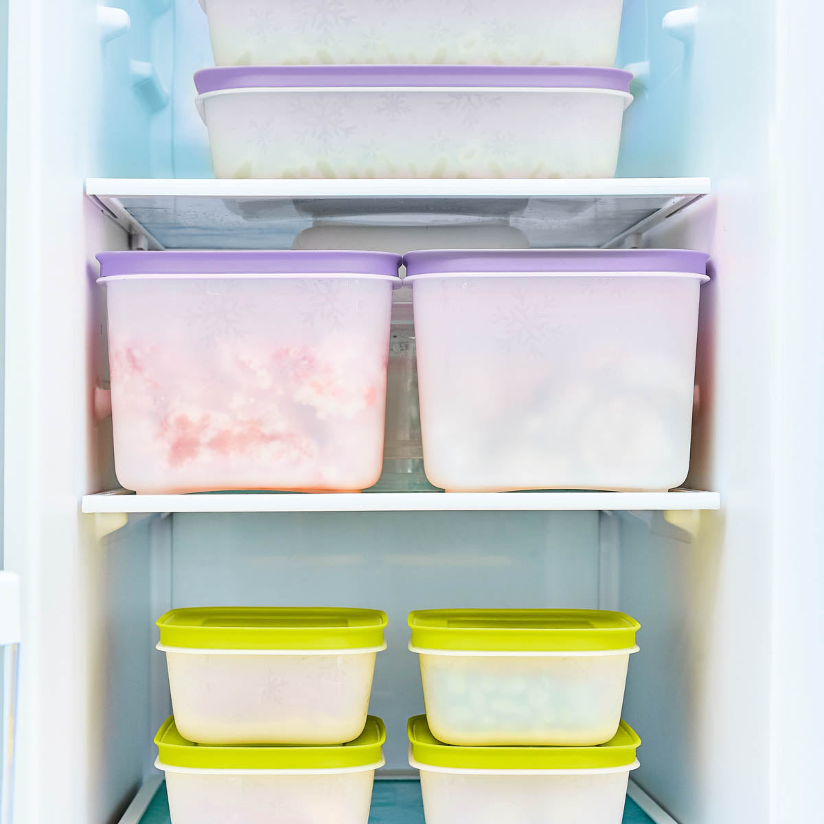 Freezer Mates® Plus | Starter Set