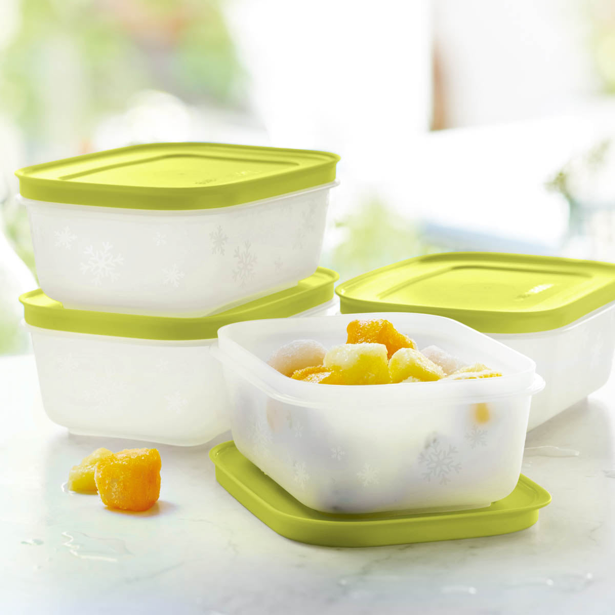 Tupperware® Freezer Mates® PLUS Small Shallow | 4-Piece Container Set