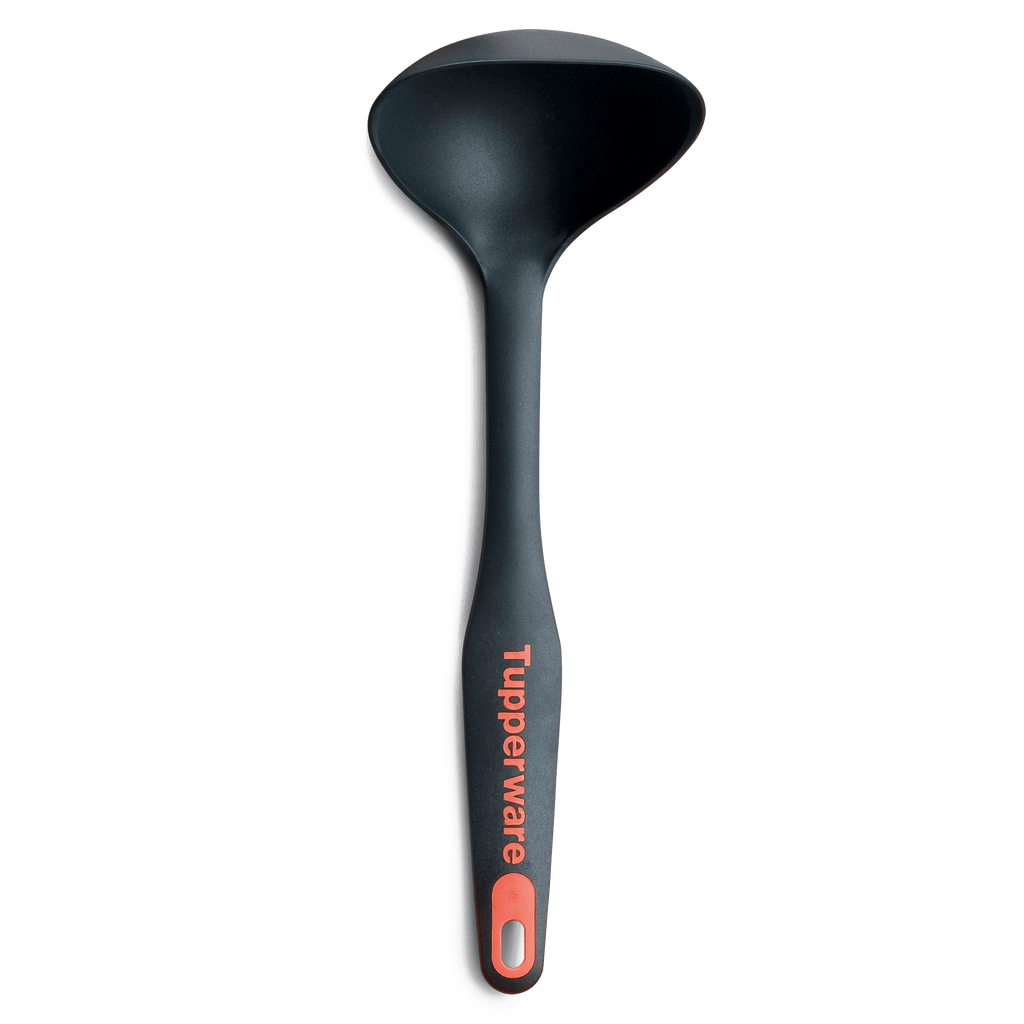 Ladle